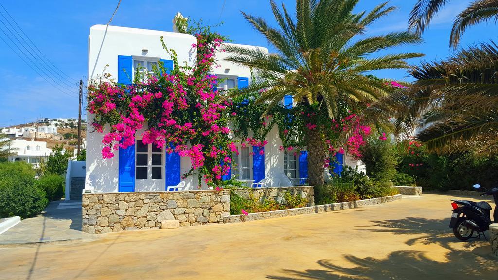 Anemos Apartments Ornos  Bagian luar foto