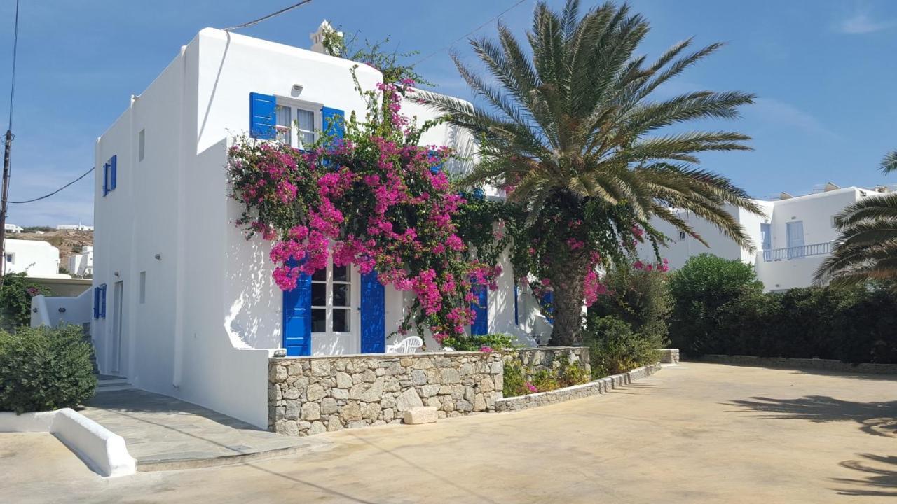 Anemos Apartments Ornos  Bagian luar foto